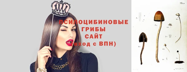 первитин Губаха