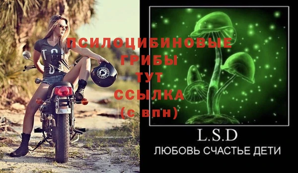 каннабис Белокуриха