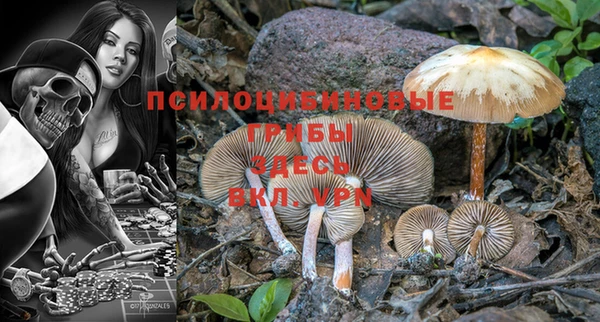 каннабис Белокуриха